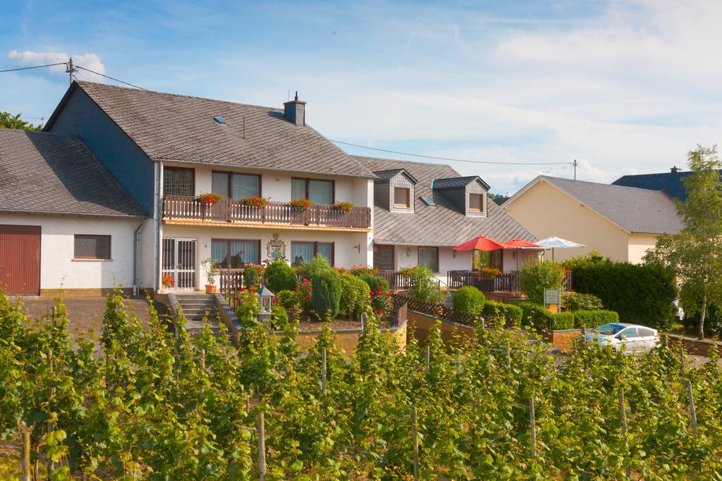 Pension Und Weingut Moselblick Brauneberg Kültér fotó