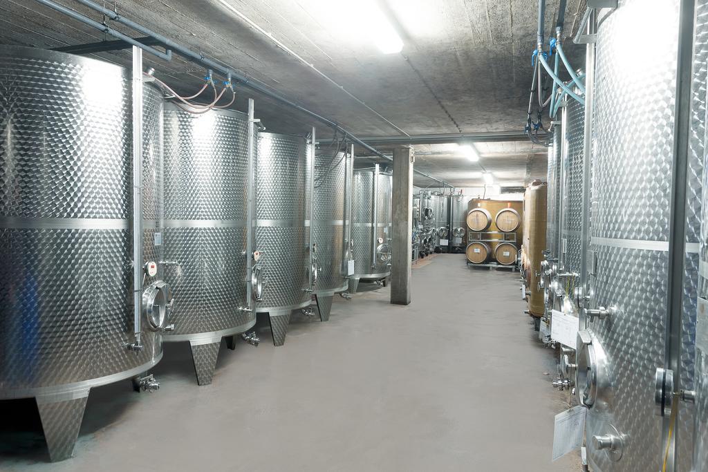 Pension Und Weingut Moselblick Brauneberg Kültér fotó